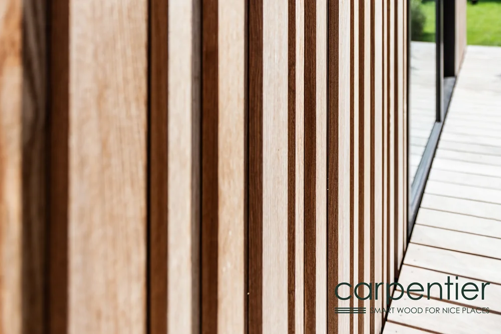 Detailaufnahme einer Holzfassade im Relief-Profil mit Wechsel aus hellen und dunklen Latten